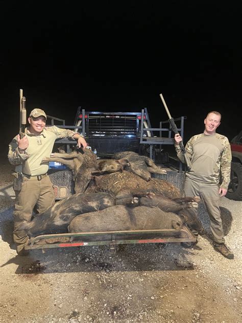 cheap hog hunting in texas